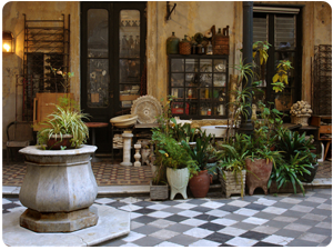 A charming, hidden patio in a historical San Telmo house, showcasing the rich heritage explored in our exclusive private tours of Buenos Aires.
